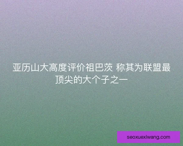 亚历山大高度评价祖巴茨 称其为联盟最顶尖的大个子之一