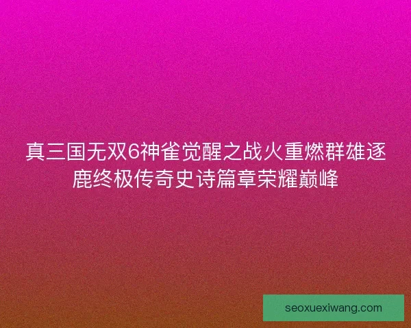 真三国无双6神雀觉醒之战火重燃群雄逐鹿终极传奇史诗篇章荣耀巅峰 真三国无双6神雀觉醒之战火重燃群雄逐鹿终极传奇史诗篇章荣耀巅峰